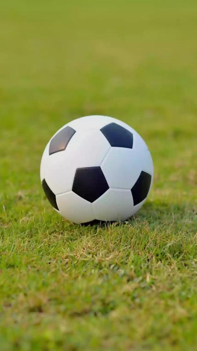 竞彩网官方首页计算器赔率计算功能展示